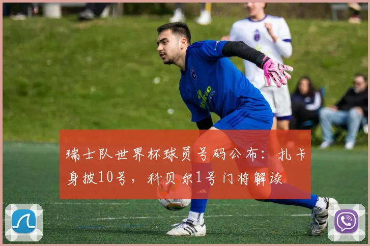 瑞士队世界杯球员号码公布：扎卡身披10号，科贝尔1号门将解读