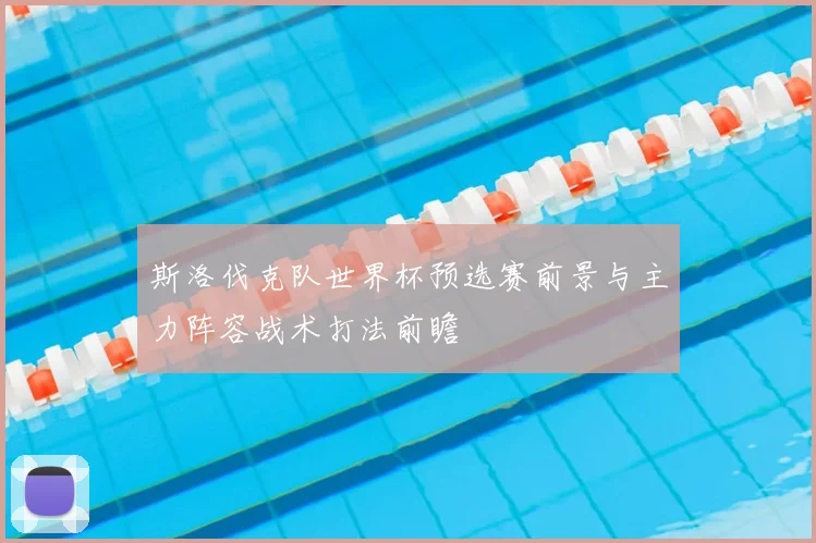 斯洛伐克队世界杯预选赛前景与主力阵容战术打法前瞻